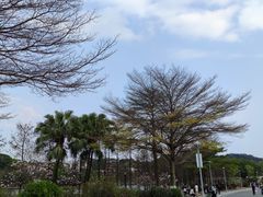 -东莞植物园