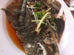 -同道蒸汽海鲜烧烤自助(刘庄夜市店)