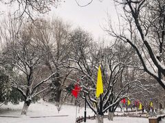 -丰台花园