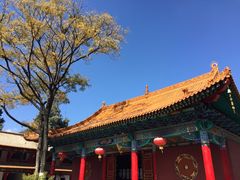 iphone_upload_pic-圆通禅寺