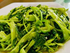 -寻味肇庆·八姑农庄·广府西江菜