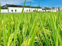 -梅州天地人花园酒店(梅县人民广场店)