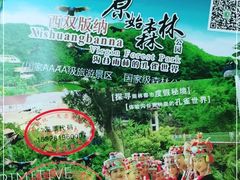 -西双版纳原始森林公园