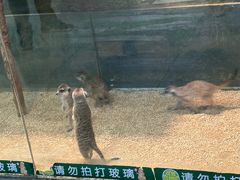 -梦幻海洋王国(吾悦广场张家港店)