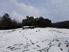 -浙江科技大学(小和山校区)