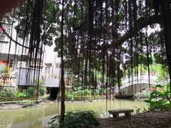 -小洲村