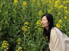 -两河城市森林公园