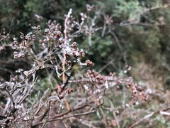 -桂林资江天门山风景区