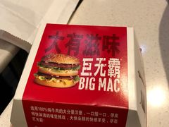 -麦当劳(花园城中心店)