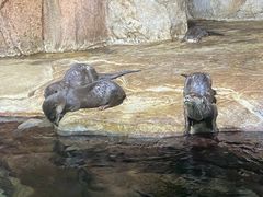 -临沂极地海洋王国