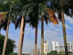 -潘塘公园
