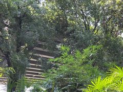 -大妙火锅·非物质文化遗产(东湖公园店)