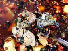 乌鸡-黑竹香鸡(营和巷店)