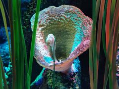 -沈阳海洋探索中心