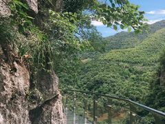 -千岛湖石林