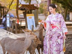 -枫雅和服体验(奈良店)