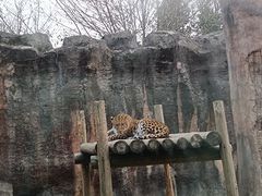 -杭州野生动物世界