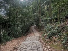 -岳麓山风景名胜区