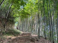 -莫干山风景区
