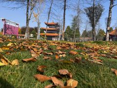 -商丘市人民公园