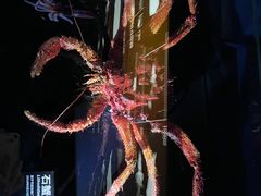 -同济大学四平路校区深海探索馆