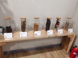 -头道汤头疗养生馆