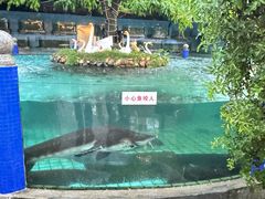 -天怡·鱼工厂(临江店)