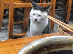 -李德富老街牛杂火锅(抚琴街店)