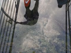 -宁波五龙潭景区