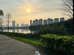 -飞来湖湿地公园