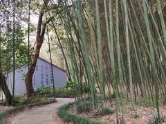 -兰亭风景区