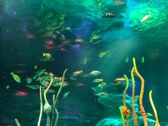 -沈阳海洋探索中心