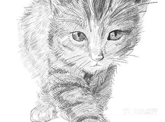 对不起的淘小桃为什么不能珍惜过去的好时光？