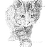 对不起的淘小桃🍑为什么不能珍惜过去的好时光？