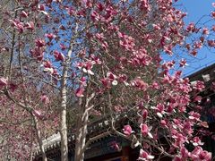 -潭柘寺景区
