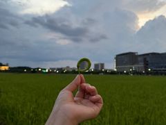 -光明小镇欢乐田园