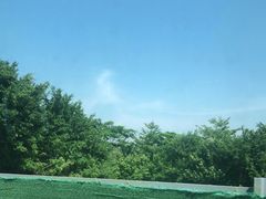 -大湾区中央湿地公园