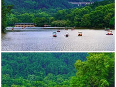 -黔灵山公园