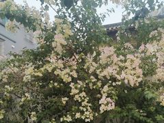 -三溪村