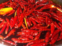 -川西坝子(老军营店)