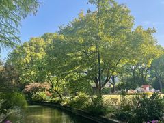 -上海醉白池公园