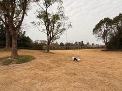 -上海崇明金茂凯悦酒店