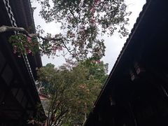 -都江堰景区