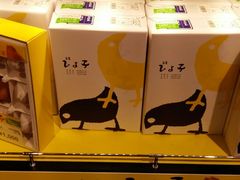 -中部国际机场