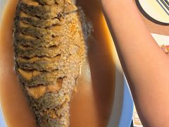 -豫丰汇河南名菜楼(武记餐饮)