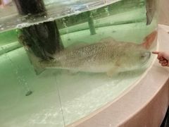 -白金汉爵大酒店(相城店)