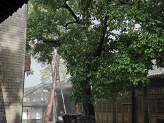 -承德避暑山庄景区