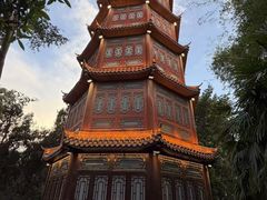 -房湖公园