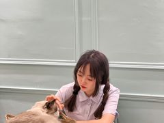 -安格丽娜·狗咖·猫咖羊驼咖(春熙路百盛商场店)