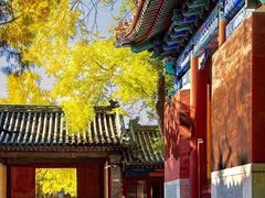 -北京国子监胡同